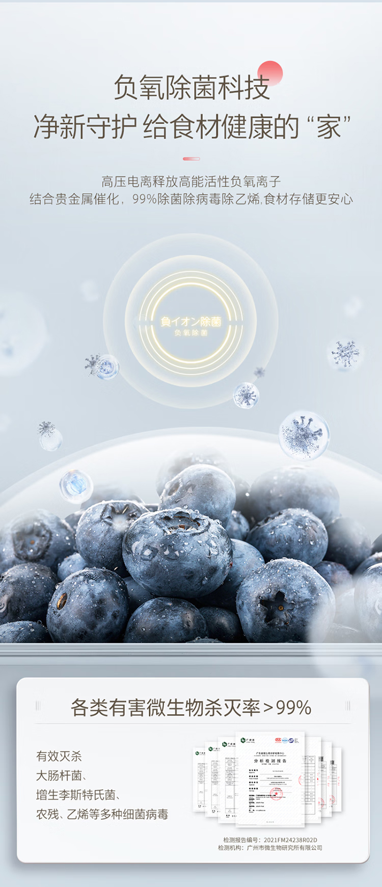 东芝冰箱大白梨十字门GR-RF561WI-PG1B3十字富士白零嵌