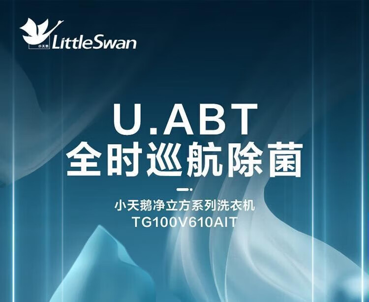 小天鹅洗衣机滚筒TG100V610AIT