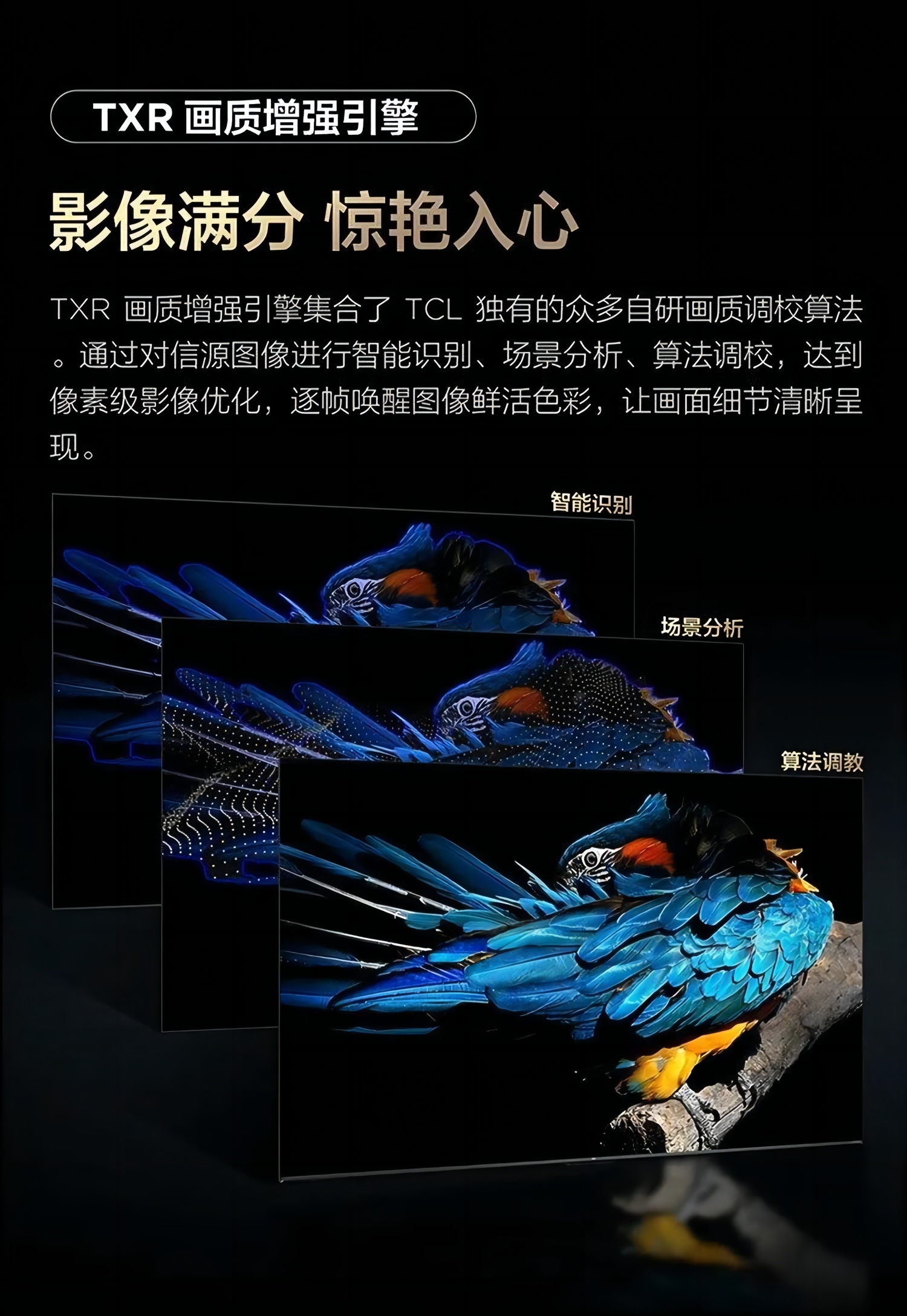 TCL电视85英寸85Q6G