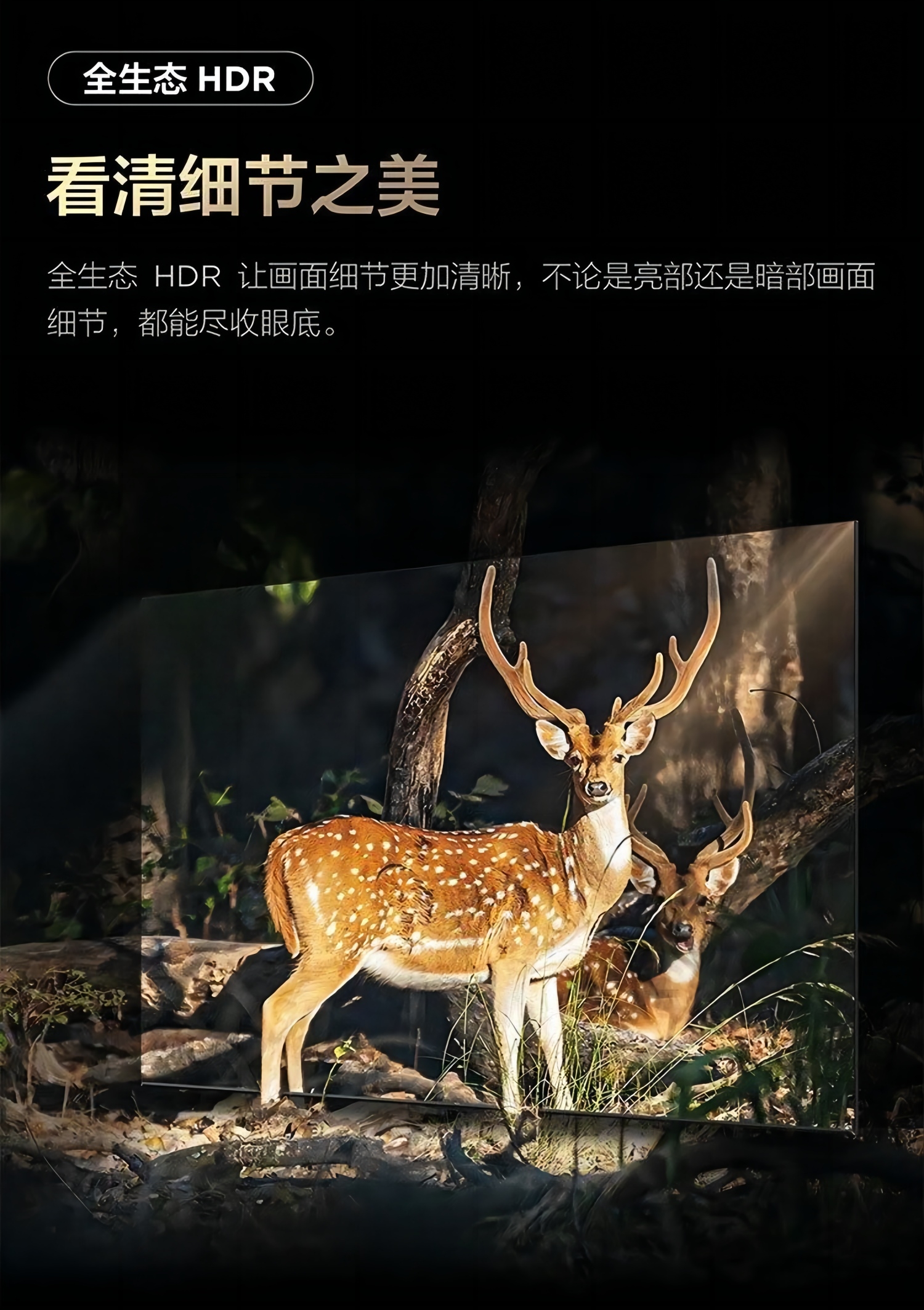 TCL电视85英寸85Q6G