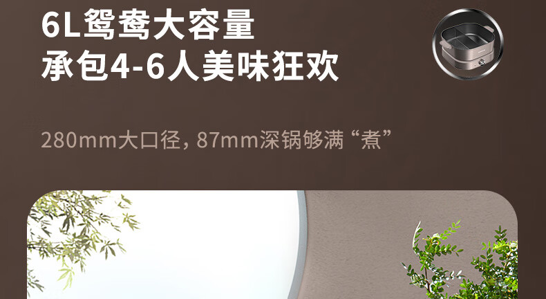 鸳鸯电煮锅配煎烤盘HG60-G955