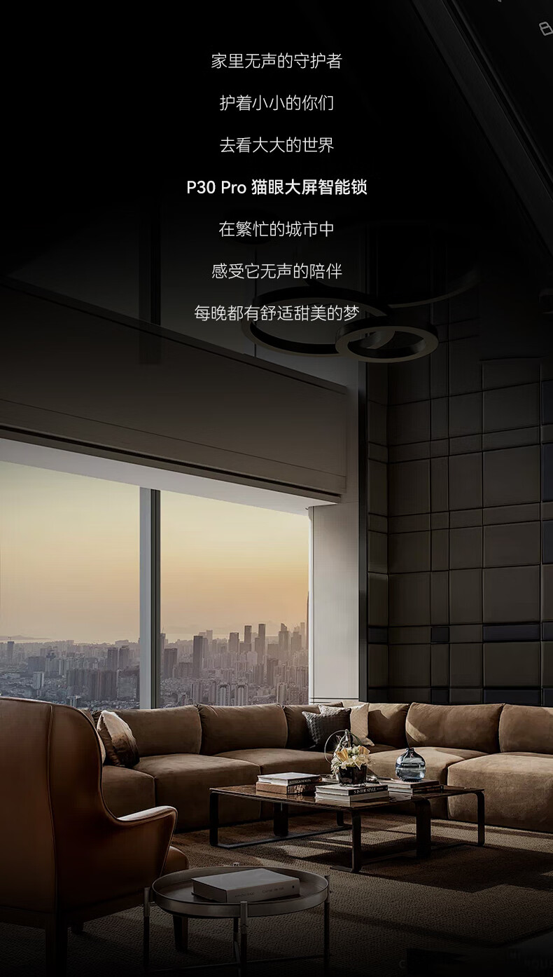 凯迪仕指纹锁P30 Pro太空灰
