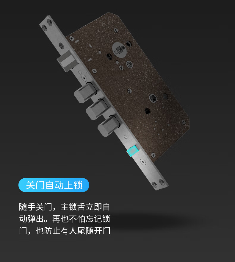 凯迪仕指纹锁K20-V