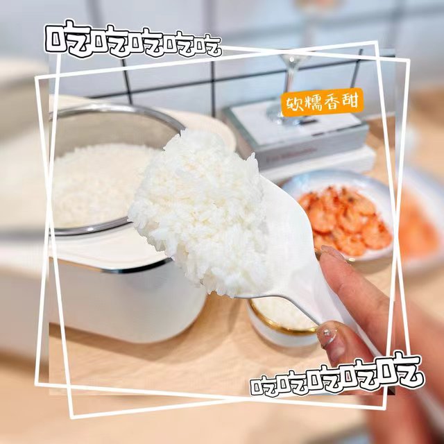 焦亚IH电饭煲IY-IHD02
