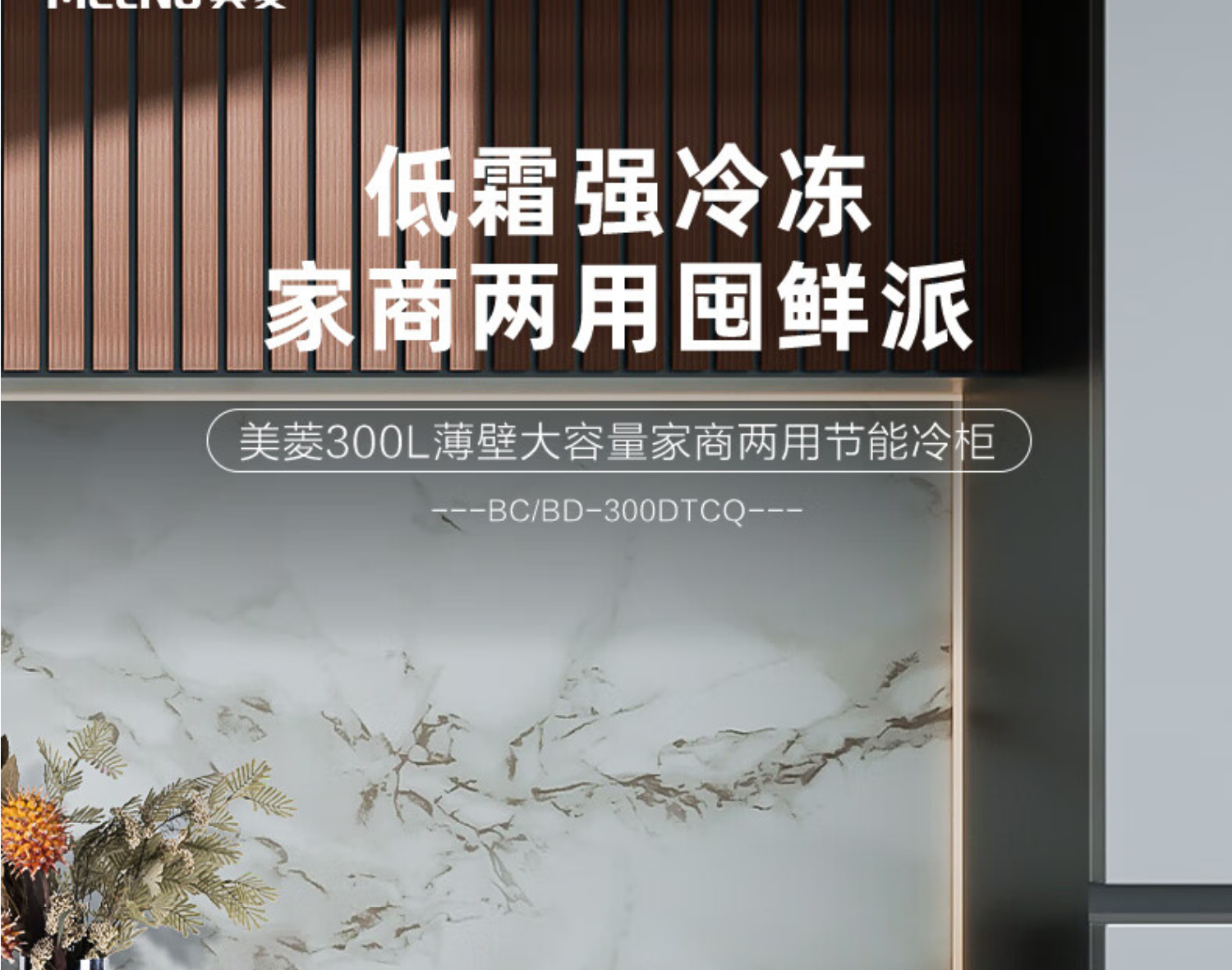 美菱冷柜BC/BD-300DTCQ