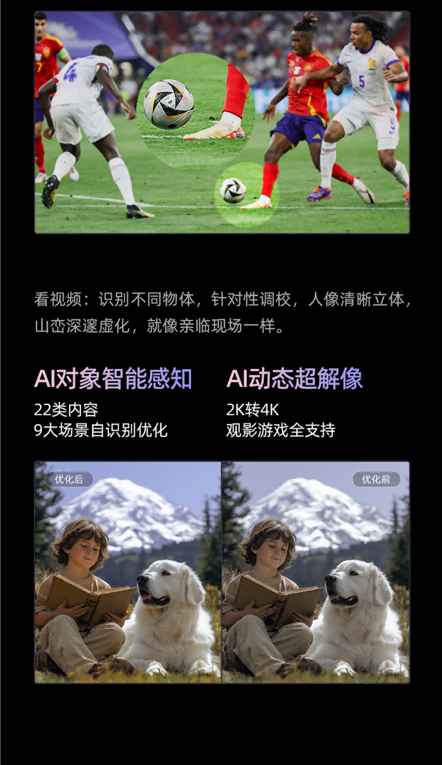 海信电视100寸100D50QD