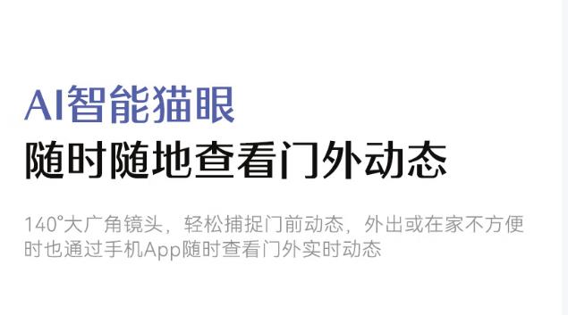 德施曼指纹锁Q3FPro（下摄版）